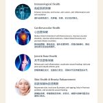 GNE | Gold Sea Cucumber Extract 天然黄金海参精华 - Image 7