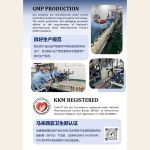 GNE | Gold Sea Cucumber Extract 天然黄金海参精华 - Image 5