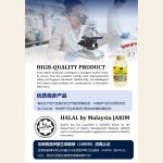 GNE | Gold Sea Cucumber Extract 天然黄金海参精华 - Image 4