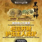 123 | VIVARA Wealth-Attracting Card Holder VIVARA 招财聚财卡包 - Image 5