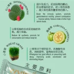 EZYGRAINS | (15 Sachets) MULTIGRAIN APPLE & CACTUS FRUIT 苹果仙人掌谷粮 - Image 2