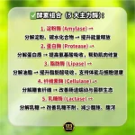 123 | TUMMYPRO 胃部最佳救星 - Image 6