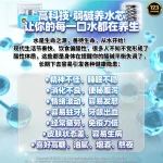 123 | 弱碱养水芯 Alkaline Electrolyte Filter Stick - Image 4