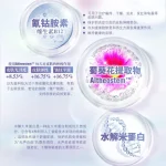 LL'AMOUR | EXOMI Skincare Series Swiss PhytoCellTec™ Technology 【1】FOAM CLEANSER - Image 4